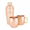 Twine: Hammered Copper Bar Set -Atlanta Grill Company Shop Hammered Copper Bar Set 01
