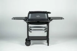 The All New Original Franklin Edition PK300AF -Atlanta Grill Company Shop SR 05055 49092.1637016086